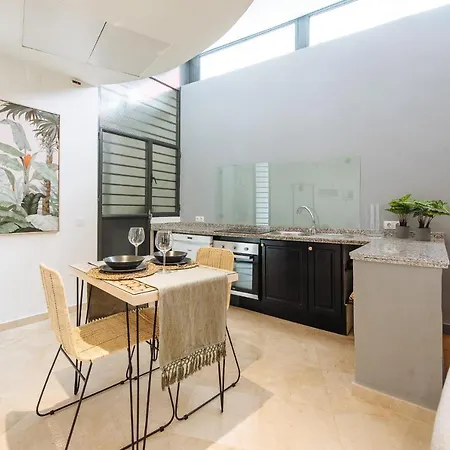 Apartamento Conde De Ibarra *